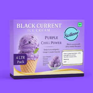 BLACK CURRENT ICECREAM